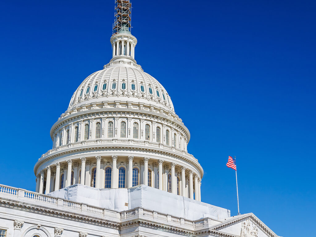 Image of the US Capitol building in Washington DC